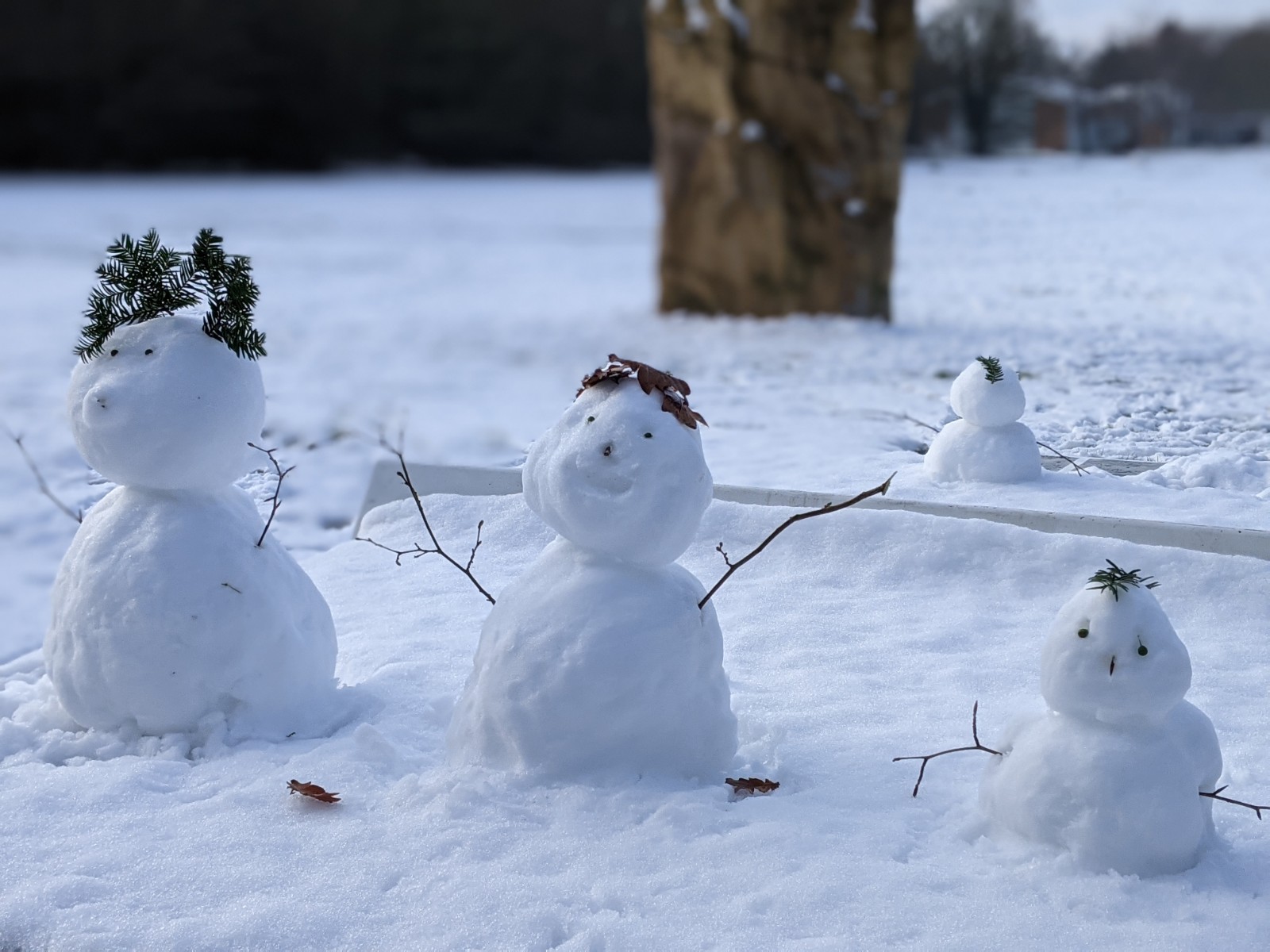 Snowmen at Bearwood Recreation Ground