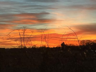 Sunset from Arborfield - 2nd Feb 24 Sonia JM Duval (002)