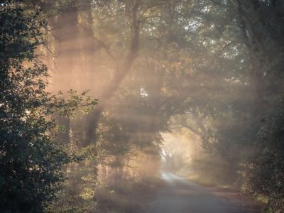 White Horse Lane - suns rays 10th October 2023